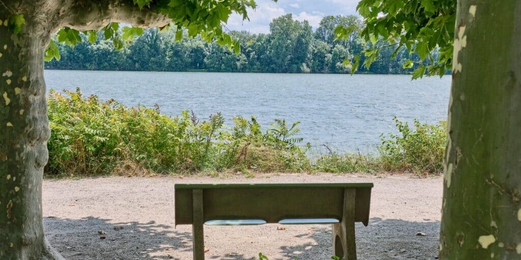 Peaceful bench by a tranquil lake under green trees, perfect for reflection and relaxation.